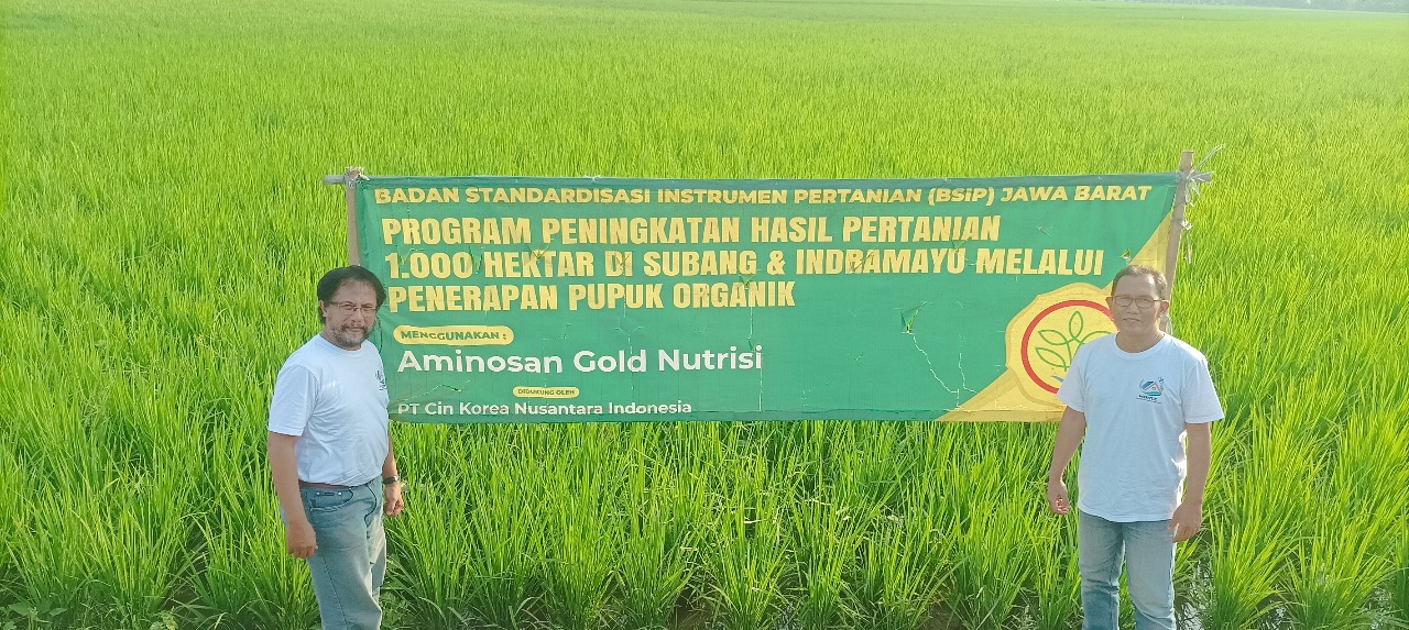 hektar sawah