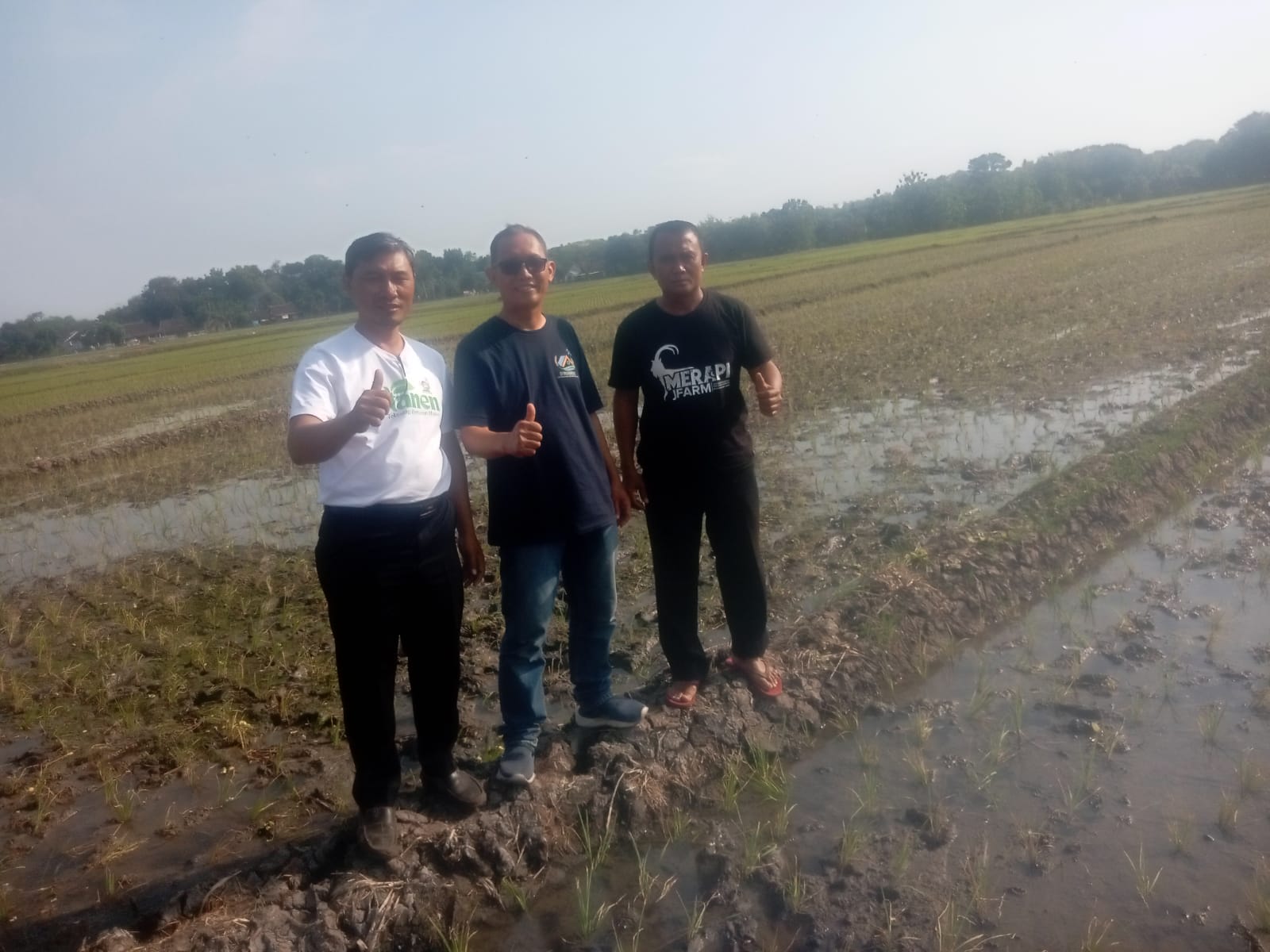 ngawi ngawi